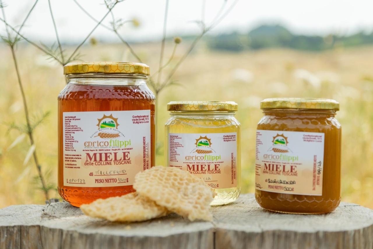 Agriturismo La Valle Della Lavanda - Podere Mezzastrada Fauglia Eksteriør billede