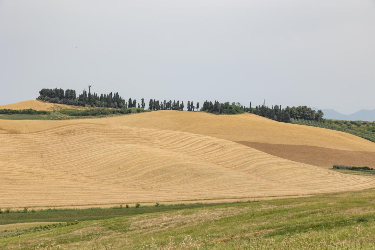 Agriturismo La Valle Della Lavanda - Podere Mezzastrada Fauglia Eksteriør billede