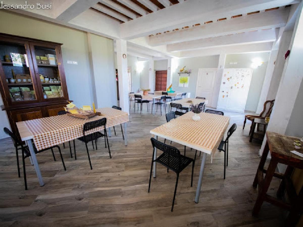 Agriturismo La Valle Della Lavanda - Podere Mezzastrada Fauglia Eksteriør billede