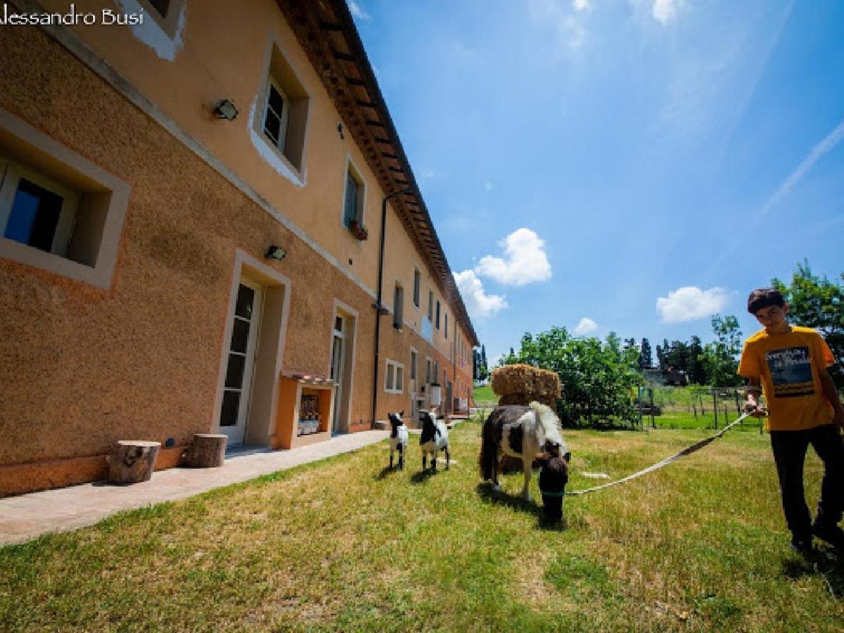Agriturismo La Valle Della Lavanda - Podere Mezzastrada Fauglia Eksteriør billede